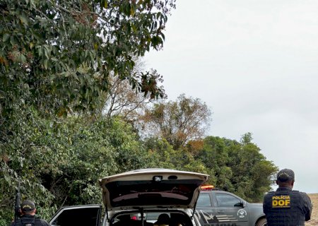 Vídeo flagra tentativa de fuga de motorista de Hyundai IX35 preso pelo DOF