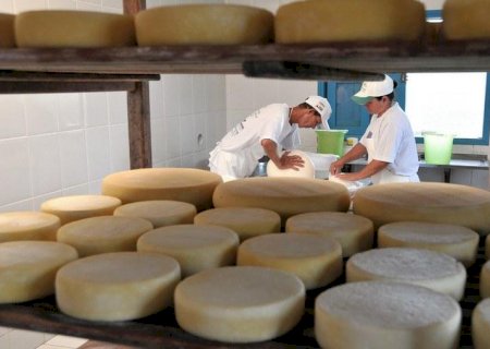 Parceria entre Mapa e Sebrae quer elevar produtividade de 2,5 mil agroindústrias em 20%
