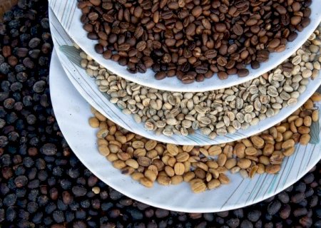 Busca de novos mercados passa pela inserção do café verde no Reintegra, defende setor