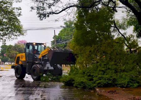 Tempestade na madrugada causa queda de árvore e deixa casa destelhada em Dourados