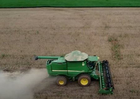 Pragas e plantas daninhas: como driblar as dificuldades na lavoura de soja no pré-plantio?