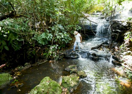 Propriedades rurais de MS ampliam práticas sustentáveis e atingem 71% de conformidade no ESG