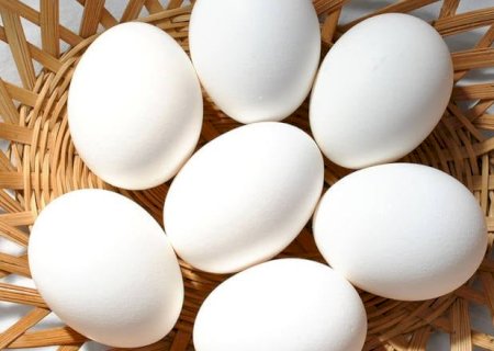 Ovos: lentidão no mercado reduz o poder de compra do avicultor