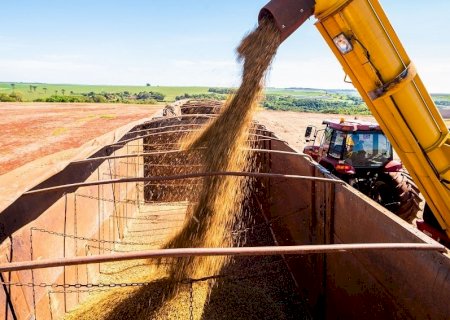 Clima favorável deve impulsionar crescimento da produção de soja para a safra 2025/26