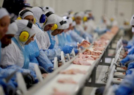 Gripe aviária ainda afeta exportações de carne de frango do Rio Grande do Sul