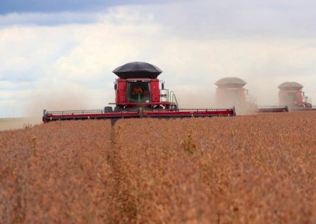 Comercialização da safra 24/25 de soja chega a quase 79%