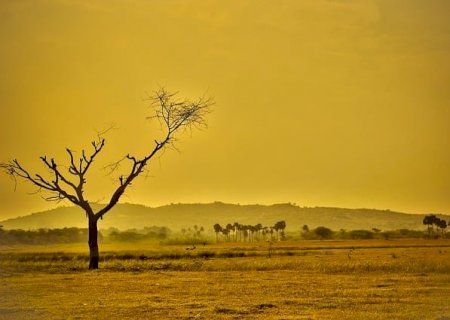 Umidade do ar abaixo de 12% deixa estados com clima de deserto; veja até quando