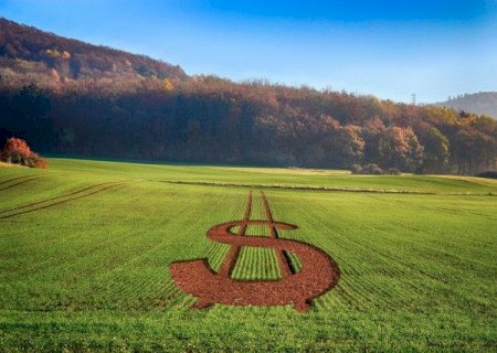 Pacote de socorro ao tarifaço não atende todas as necessidades do agro, diz Faesp