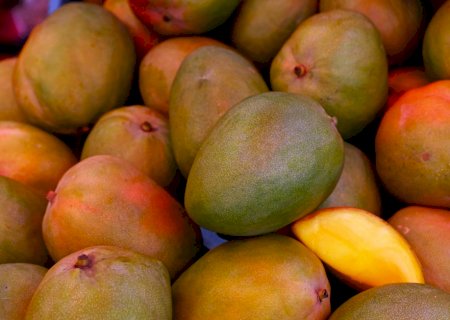 Abrafrutas classifica como avanço o pacote de socorro a empresas afetadas por tarifaço