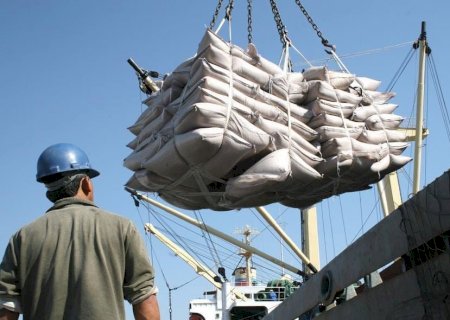 Exportações do agro registraram superávit de US$ 14 bilhões em julho
