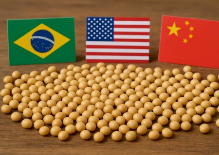 China aposta no Brasil e deixa EUA fora do mercado de soja, aponta consultoria