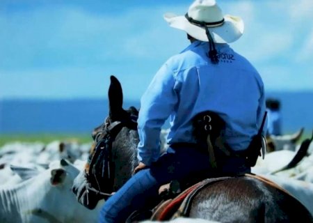 Líder mundial: 1 a cada 5 quilos de carne exportada é do Brasil. Entenda