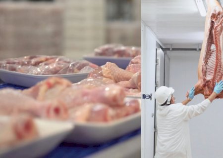 ABPA defende pragmatismo na negociação com os EUA sobre tarifas para carnes, ovos e peixes
