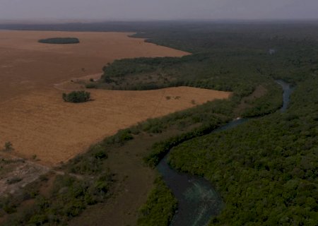 Produtores mantêm áreas preservadas mesmo após fim de pagamentos de projeto conservação
