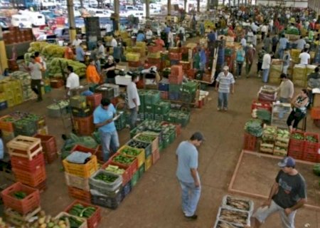 Rota dos alimentos: saiba de onde vem os produtos mais vendidos na Ceasa de MS
