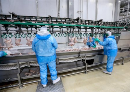 Falta de mão de obra qualificada é entrave para crescimento das exportações de carnes