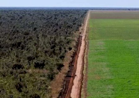 Sancionada lei que amplia prazo para regularizar fazendas em faixa de fronteira