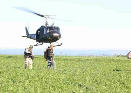 Brasil e Paraguai destroem quase 600 toneladas de maconha