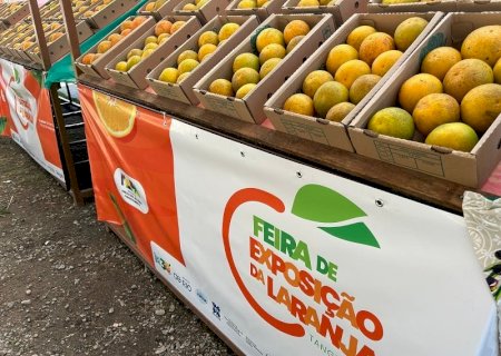 Laranja de Tanguá com selo de indicação geográfica é destaque em concurso no RJ
