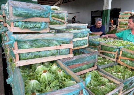 Oferta derruba pre&ccedil;os de hortali&ccedil;as em MS, mas frutas da entressafra encarecem