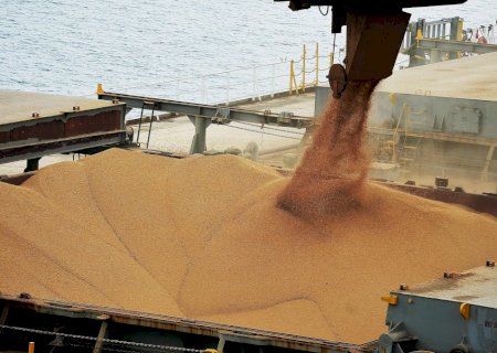 China deve impulsionar compras e reforçar exportações de soja do Brasil na safra 25/26