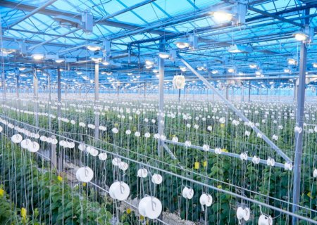 Embrapa realiza primeiro simpósio sobre agricultura espacial
