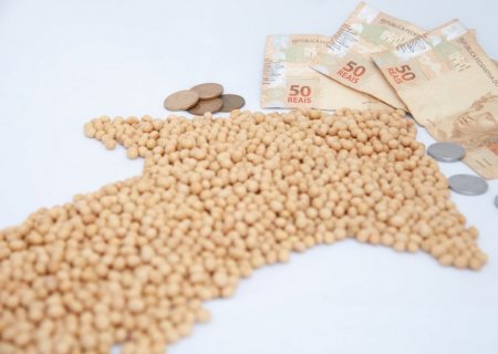 Soja tem dia de alta: veja como as cotações abriram a semana