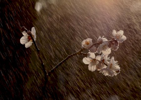 Frente fria avança e derruba temperaturas no primeiro dia da primavera