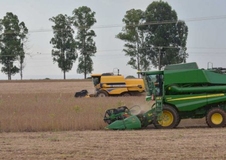 Recuperação Judicial do agro dispara 54% em Mato Grosso do Sul neste ano