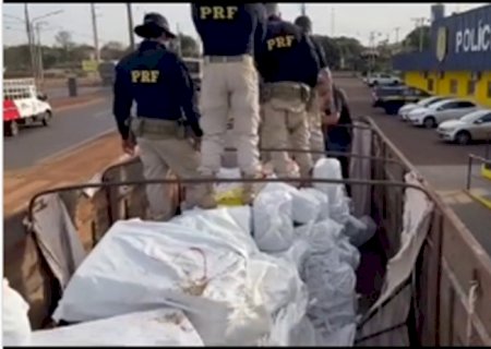 Motorista de caminhão de Itaporã é preso pela PRF com mais de 7 toneladas de maconha