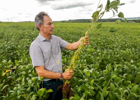 Goiás inicia plantio de soja da safra 2025/2026