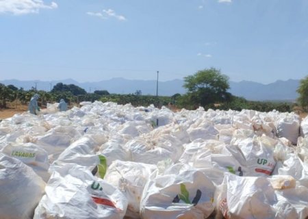 Ação coordenada recolhe embalagens de defensivos agrícolas