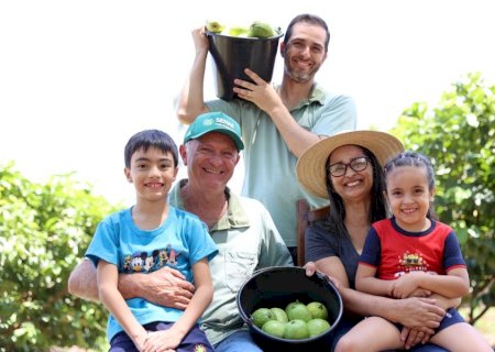 Família Chiquito se torna referência na produção de goiabas com apoio do Senar/MS