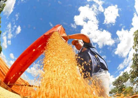 Gestão Riedel: MS se consolida como estado exportador para mais de 120 países