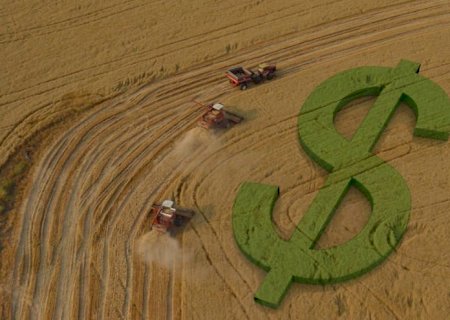 Crédito rural em queda reforça busca por soluções de longo prazo