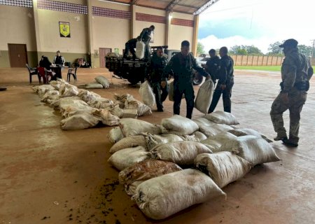 Traficantes abandonam caminhonete com mais de 1,2 tonelada de maconha