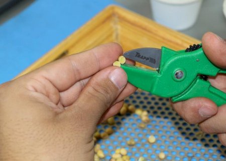 Cartilha da Aprosoja/MS ajuda produtores a evitar perdas na venda da soja