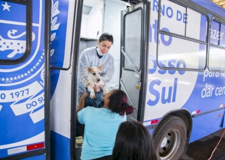 Prefeitura de Dourados prioriza proteção animal com a Caravana da Castração