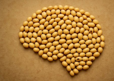Incerteza no mercado de soja? La Niña e trabalhos limitados preocupam sojicultores no Brasil