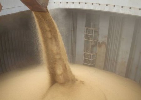Anec eleva projeção de exportações de soja brasileira em outubro