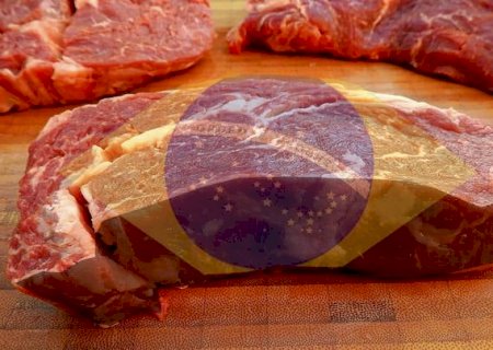 É oficial: Brasil é campeão nas exportações de carne bovina em setembro