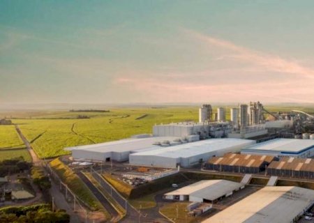 MS deve liberar instalação de mais uma megafábrica de celulose em fevereiro