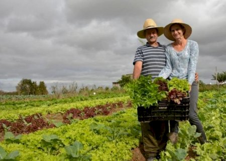 Qual é o maior desafio da agricultura familiar hoje?