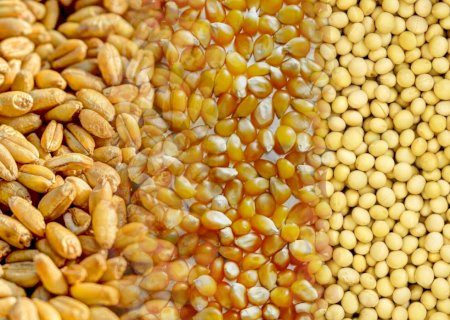 Último trimestre de 2025 será decisivo para commodities, aponta StoneX