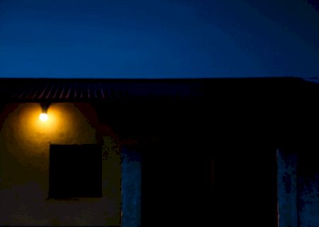 O luto dos cães: uivos que revelam saudade após a perda do tutor