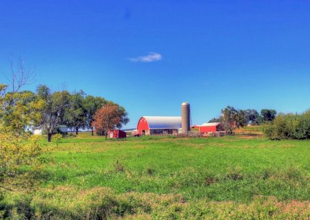 USDA deve cortar previsão da safra de soja dos EUA em 2025/26
