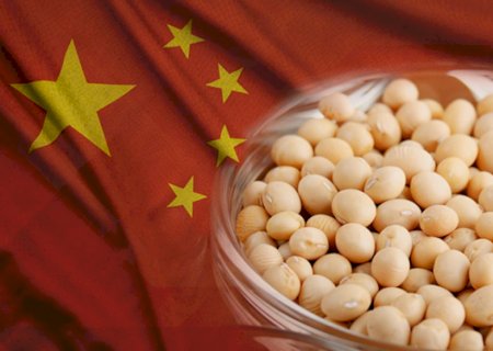 Compras chinesas de soja nos EUA custam caro e ampliam vantagem do Brasil, diz consultoria