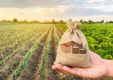 Fiagro para atrair capital estrangeiro será apresentado no Oriente Médio em janeiro