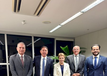 Gerson participa de reunião no TSE sobre plebiscito que decidirá mudança de nome de Rio Verde de Mato Grosso