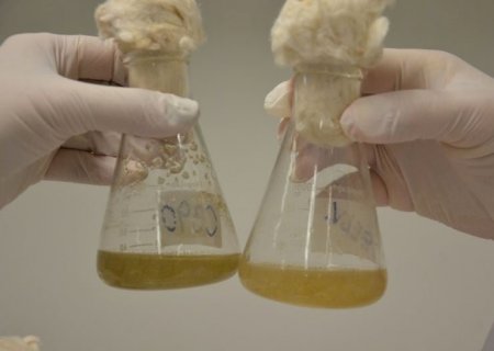 Brasil e Uruguai firmam acordo para cooperação em bioinsumos